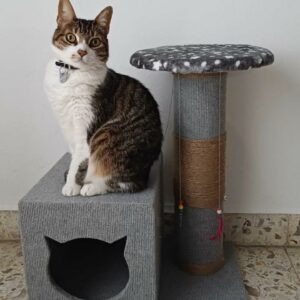 Casita + Tubo Rascador con Plataforma