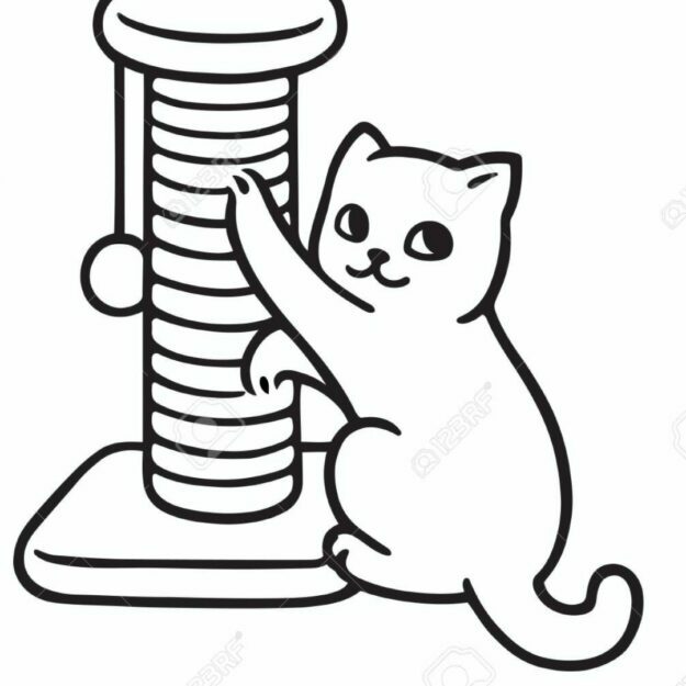 Rascadores para Gatos