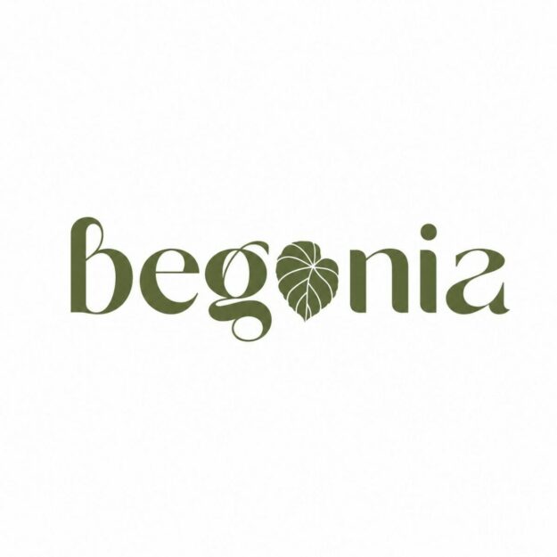 Begonia
