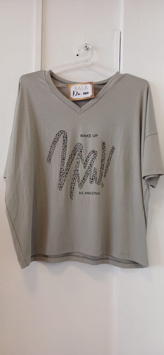 Remeras en promoción